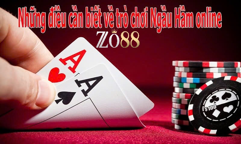 Bài ngầu hầm và những thông tin cần biết