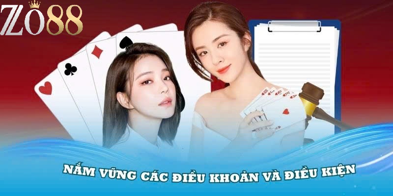 Tổng hợp Điều khoản Zo88